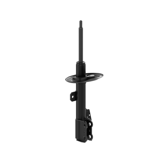72765 OESpectrum Strut BCZC