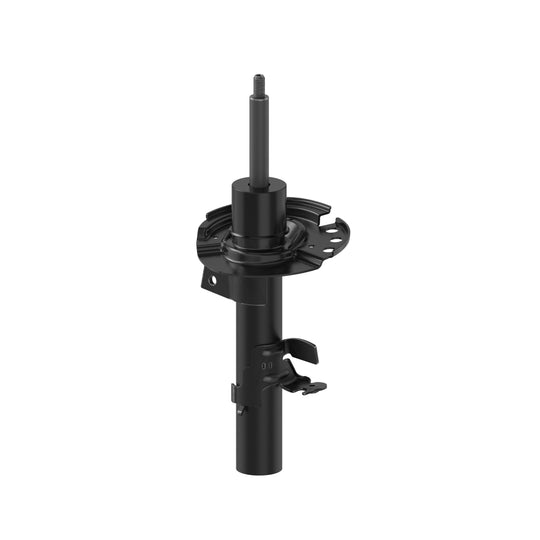 72788 OESpectrum Strut BCZC