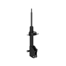 Charger l'image dans la galerie, 72888 OESpectrum Strut BCZC