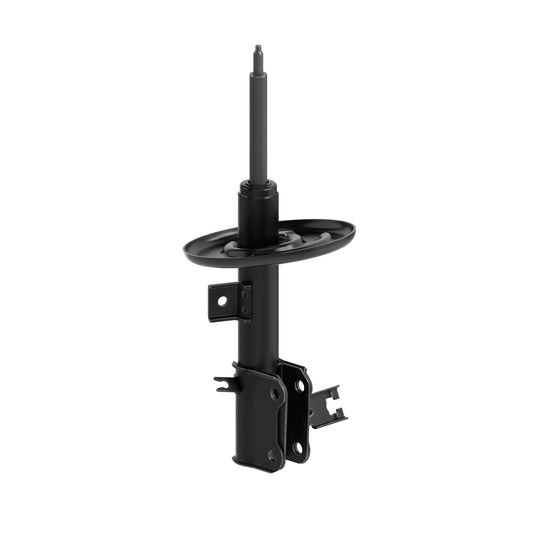 72901 OESpectrum Strut BCZC