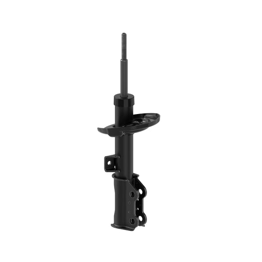 72909 OESpectrum Strut BCZC