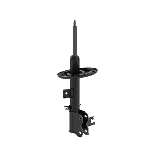 72936 OESpectrum Strut BCZC