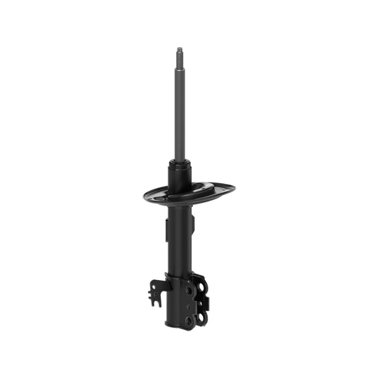 72941 OESpectrum Strut BCZC
