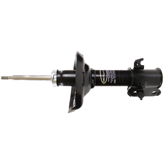 72960 OESpectrum Strut BCZC