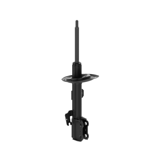 72963 OESpectrum Strut BCZC