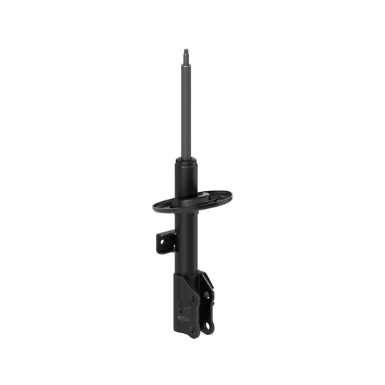 72978 OESpectrum Strut BCZC