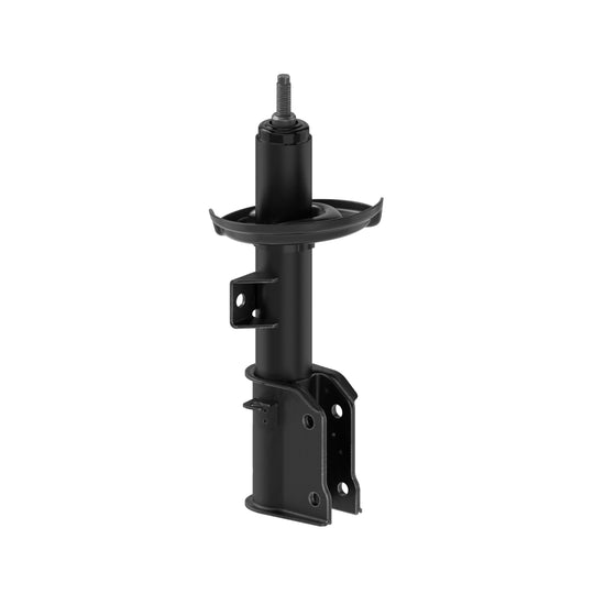 72985 OESpectrum Strut BCZC