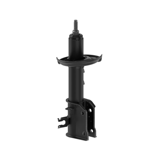 72986 OESpectrum Strut BCZC