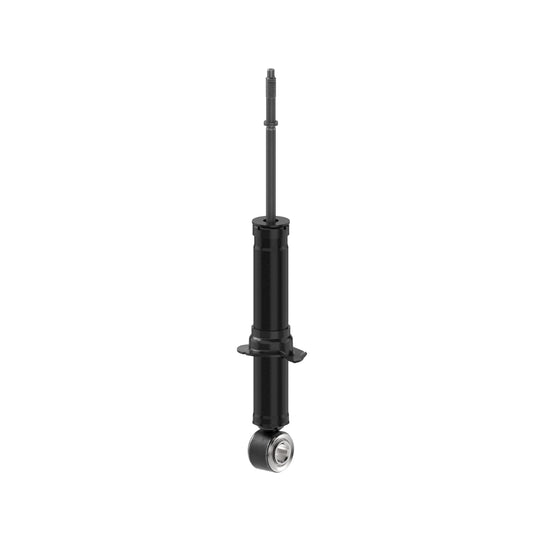 72991 OESpectrum Strut BCZC