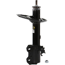 Charger l'image dans la galerie, 73014 OESpectrum Strut BCZC