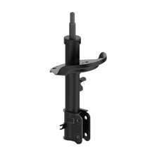 Charger l'image dans la galerie, 73019 OESpectrum Strut BCZC