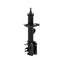 Load image into Gallery viewer, 73022 OESpectrum Strut BCZC