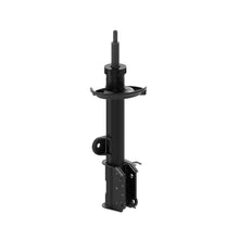 Charger l'image dans la galerie, 73023 OESpectrum Strut BCZC