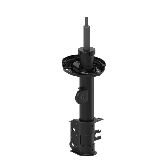 73028 OESpectrum Strut BCZC
