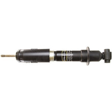 Charger l'image dans la galerie, 73029 OESpectrum Strut BCZC