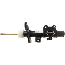 Charger l'image dans la galerie, 73037 OESpectrum Strut BCZC