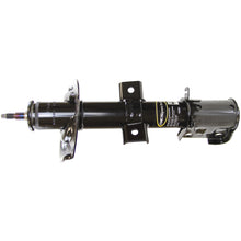Charger l'image dans la galerie, 73044 OESpectrum Strut BCZC