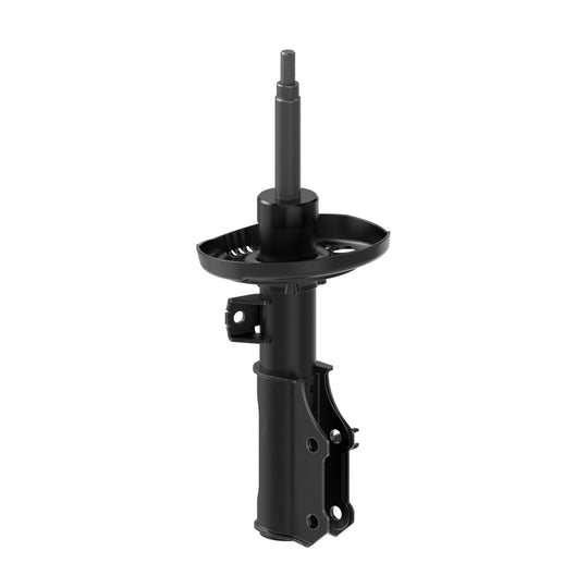 73051 OESpectrum Strut BCZC