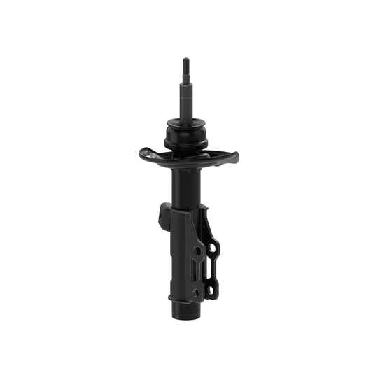 73055 OESpectrum Strut BCZC
