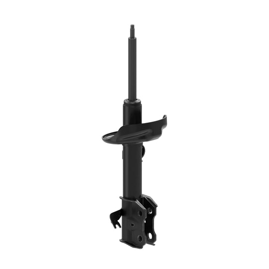 73058 OESpectrum Strut BCZC