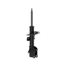 Charger l'image dans la galerie, 73059 OESpectrum Strut BCZC