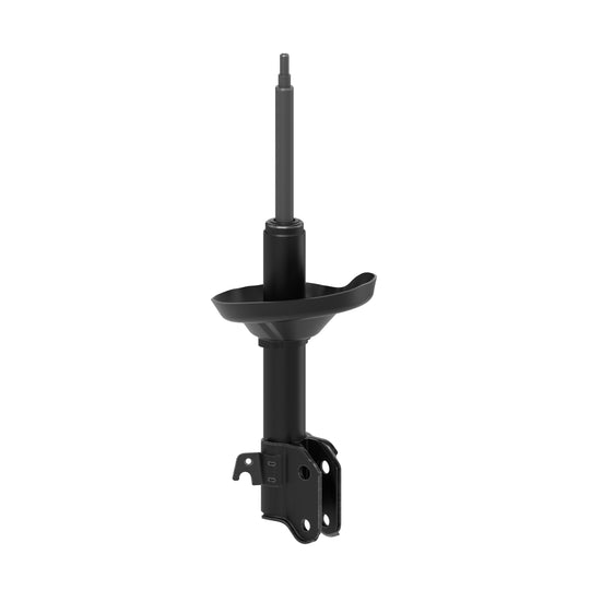 73079 OESpectrum Strut BCZC
