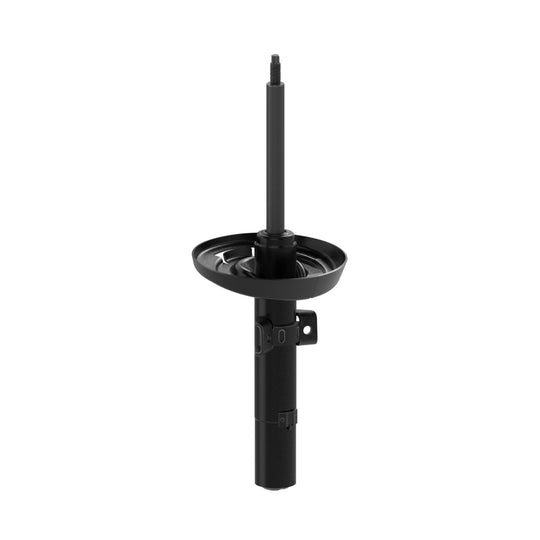 73081 OESpectrum Strut BCZC