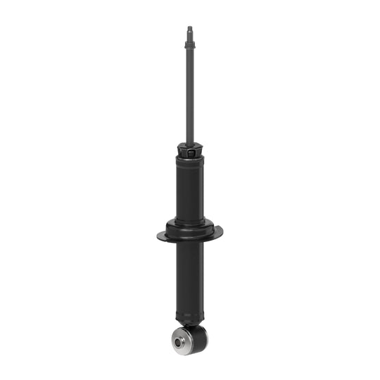 73084 OESpectrum Strut BCZC