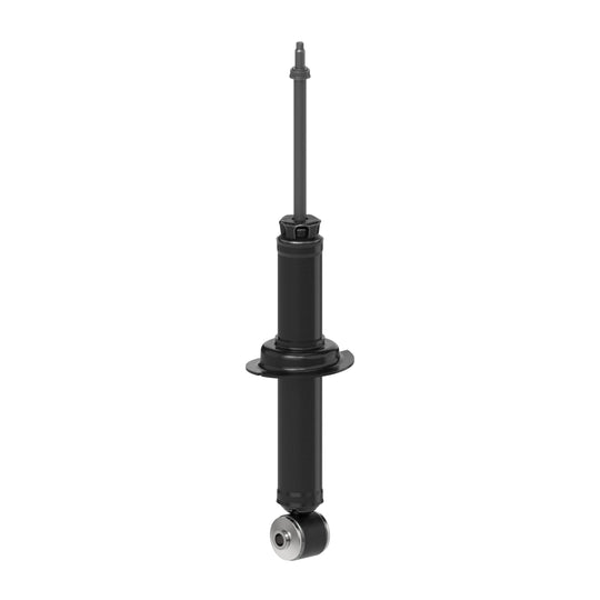 73085 OESpectrum Strut BCZC