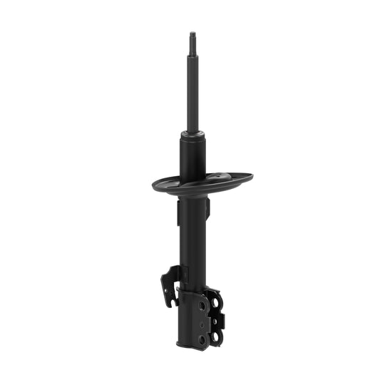 73093 OESpectrum Strut BCZC