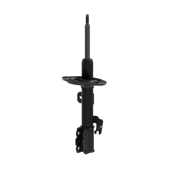 73094 OESpectrum Strut BCZC