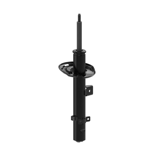 73097 OESpectrum Strut BCZC