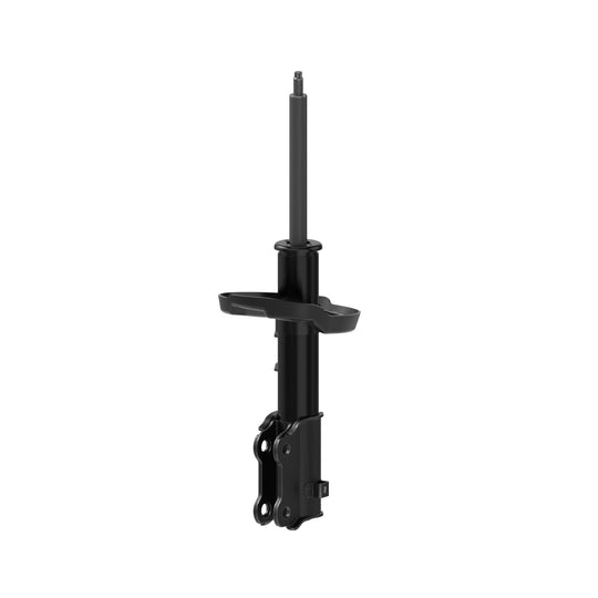 73099 OESpectrum Strut BCZC