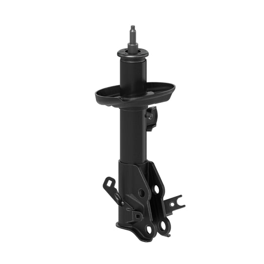 73121 OESpectrum Strut BCZC