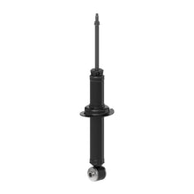 Charger l'image dans la galerie, 73123 OESpectrum Strut BCZC