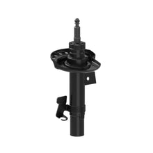 Charger l'image dans la galerie, 73131 OESpectrum Strut BCZC