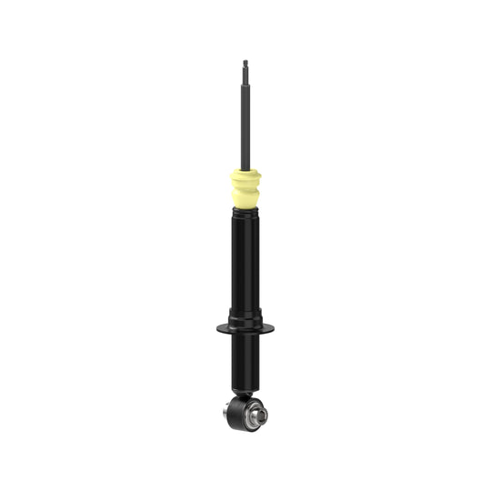 73136 OESpectrum Strut BCZC
