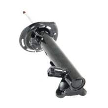 Charger l'image dans la galerie, C2509 OESpectrum Electronic Strut BCZC