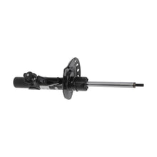 Charger l'image dans la galerie, C2511 OESpectrum Electronic Strut BCZC