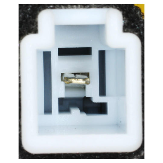 CBS-1612 Multi-Function Switch Standard Import Canada