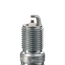 Load image into Gallery viewer, 3013 Platinum Power Spark Plug Champion Spark Plug Canada