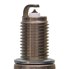 Load image into Gallery viewer, 7695 Double Platinum Power Spark Plug Champion Spark Plug Canada