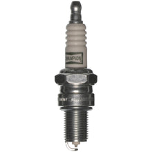 Charger l'image dans la galerie, 8904-1 PowerSport Spark Plug Champion Spark Plug Canada