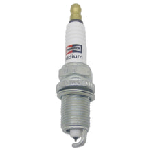 Load image into Gallery viewer, 9002 Champion Iridium Spark Plug Champion Spark Plug Canada