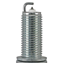 Load image into Gallery viewer, 9019 Champion Iridium Spark Plug Champion Spark Plug Canada