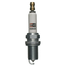 Load image into Gallery viewer, 9800 Champion Iridium Spark Plug Champion Spark Plug Canada