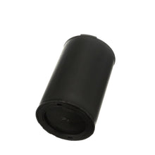 Load image into Gallery viewer, CP1020 Standard Ignition Vapor Canister Standard Ignition Canada