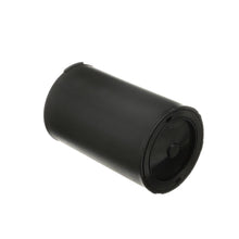 Load image into Gallery viewer, CP1020 Standard Ignition Vapor Canister Standard Ignition Canada