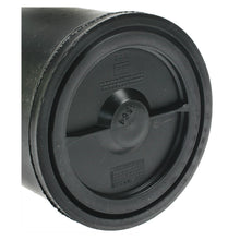 Load image into Gallery viewer, CP3138 Standard Ignition Vapor Canister Standard Ignition Canada