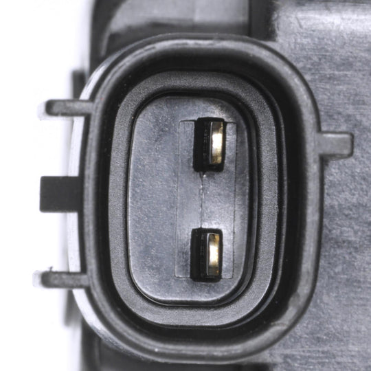 CP774 Vapor Canister Purge Solenoid Standard Import Canada